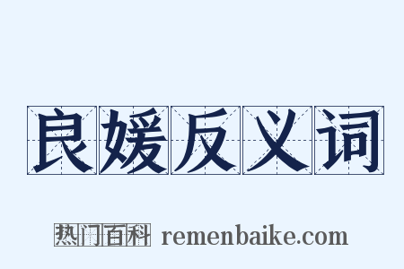 良媛反义词是什么意思的图片